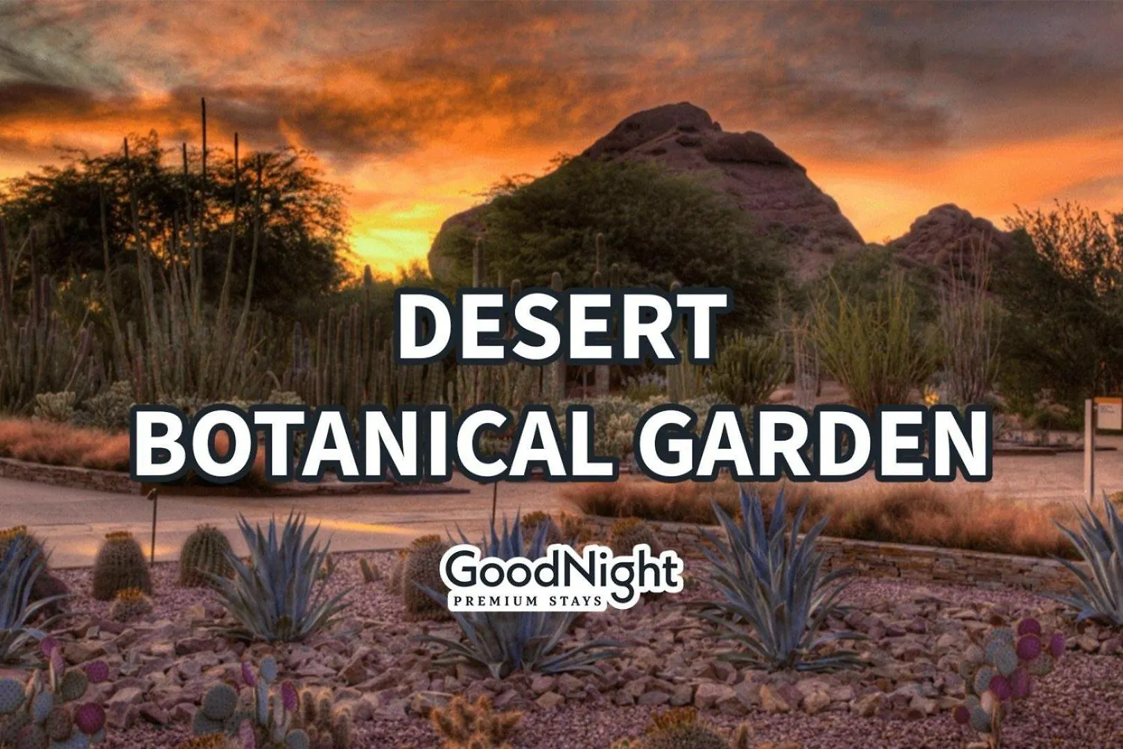 Cactus House - Private Pool - 5 Mins To Old Town Villa Scottsdale